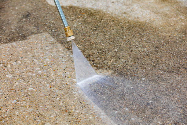 Best Boat and Dock Cleaning  in Stepping Stone, CO